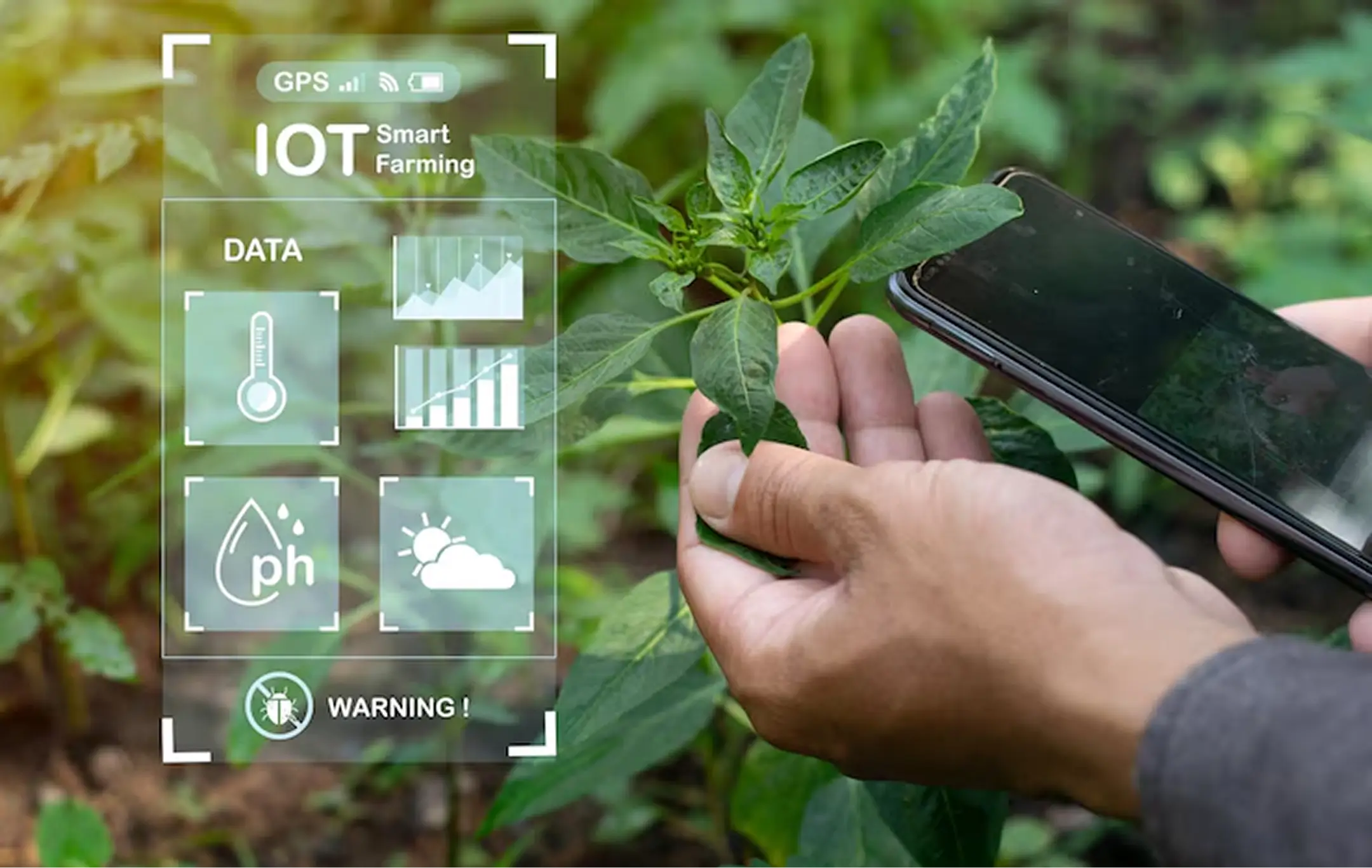 Agricultura con tecnología IoT